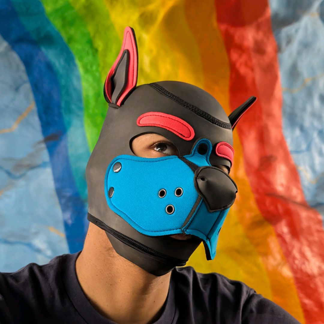 Pup Apogee